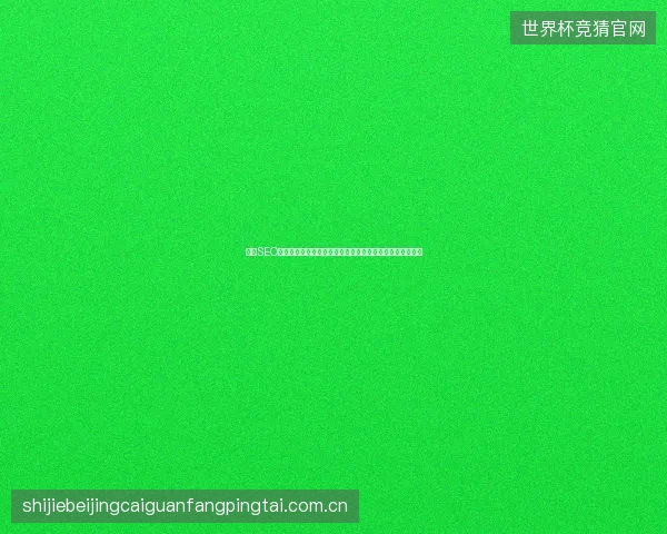 鸡西SEO优化排名平台如何选择？自动翻译网站能否提升百度收录？